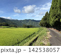 市房山　棚田 142538057