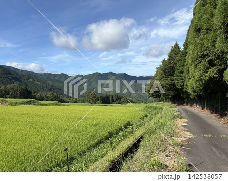 市房山 棚田 市房山 棚田 142538057