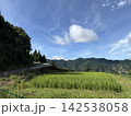 市房山　棚田 142538058