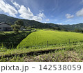 市房山　棚田 142538059