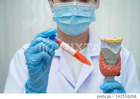 Doctor holding thyroid gland model and blood sample test tube in laboratory. 142538208