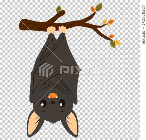 Cute Halloween Bat Hanging Upside Down from Autumn Tree Branch Illustration Cute Halloween Bat Hanging Upside Down from Autumn Tree Branch Illustration 142538227