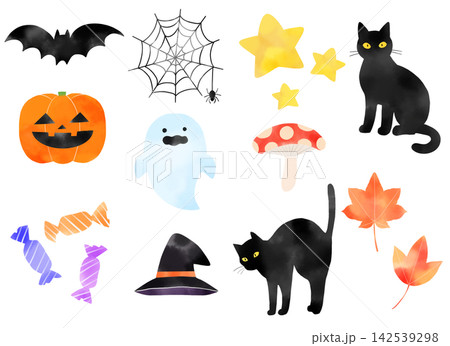 水彩風の温かみあるハロウィンモチーフ手描きイラストセット 水彩風の温かみあるハロウィンモチーフ手描きイラストセット 142539298