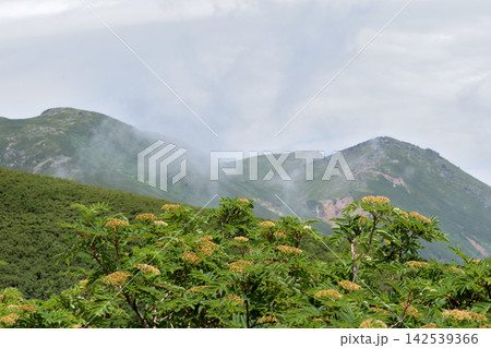 日本百名山の御嶽山、気持ちいい夏の登山 142539366