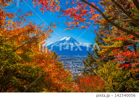 Mount Fuji framed with red orange maple leaves, pine needles and others beautifully in autumn. Mount Fuji framed with red orange maple leaves, pine needles and others beautifully in autumn. 142540056
