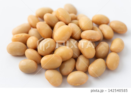 蒸し大豆 蒸し大豆 142540585