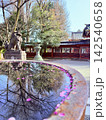 花びらが舞う春の寺 142540658
