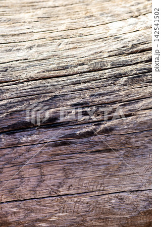 Rough surface with natural details. Weathered timber showcasing deep grain and imperfections Rough surface with natural details. Weathered timber showcasing deep grain and imperfections 142541502