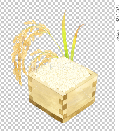 稲穂と木製の桝に盛ったお米 手描き水彩イラスト素材 稲穂と木製の桝に盛ったお米 手描き水彩イラスト素材 142542529