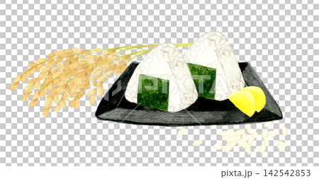 稲穂と白米のお握りのセット 手描き水彩イラスト素材 稲穂と白米のお握りのセット 手描き水彩イラスト素材 142542853