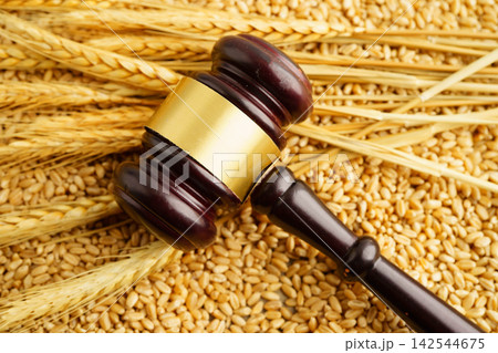 Judge gavel hammer with wheat ear grain from agriculture farm. Judge gavel hammer with wheat ear grain from agriculture farm. 142544675