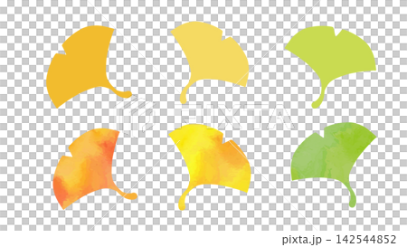 Watercolor-style ginkgo leaf parts set Watercolor-style ginkgo leaf parts set 142544852