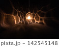 おしゃれなライト 142545148