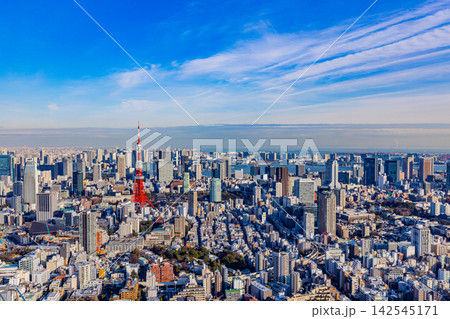 【東京都】東京タワーが見える、東京都市風景 【東京都】東京タワーが見える、東京都市風景 142545171