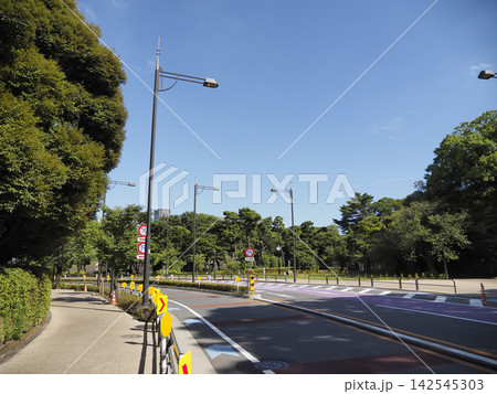 北の丸公園そばの緑が彩る道路風景と青空の景色 北の丸公園そばの緑が彩る道路風景と青空の景色 142545303