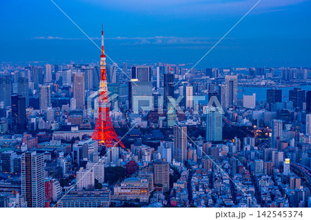 【東京都】東京タワーが見える、東京都市風景　夕景 142545374
