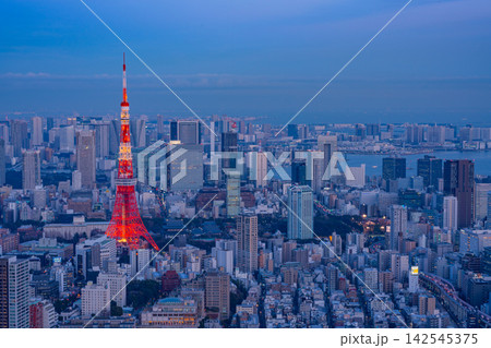 【東京都】東京タワーが見える、東京都市風景　夕景 142545375
