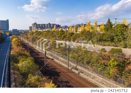 神戸市営地下鉄西神山手線・学園都市駅周辺の秋の風景 神戸市営地下鉄西神山手線・学園都市駅周辺の秋の風景 142545752
