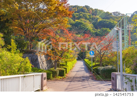 外大東歩道橋から秋の高塚山を望む 神戸市西区学園東町にて 外大東歩道橋から秋の高塚山を望む 神戸市西区学園東町にて 142545753