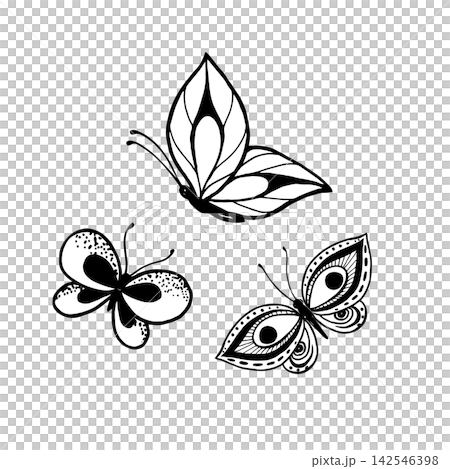 Vector illustration of funny butterflies. Line art drawing of butterflies. Vector illustration of funny butterflies. Line art drawing of butterflies. 142546398