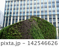 蔦に覆われたビル、排気口 142546626