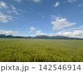 青空の下に広がる秋の田園風景 142546914