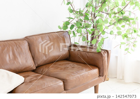 観葉植物のある明るい部屋のブラウンレザーソファ 142547073