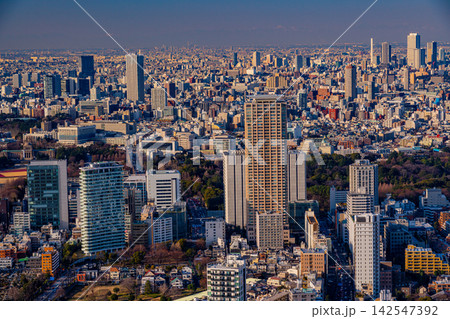 【東京都】六本木ヒルズ屋上から眺める東京都市風景　夕景 142547392