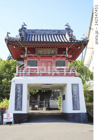 竜宮城のようなお寺の山門（鐘楼門） 142547451
