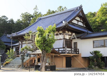 新緑に囲まれたお寺の本堂 新緑に囲まれたお寺の本堂 142547454