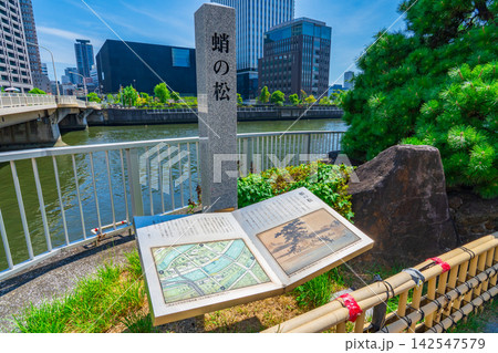 大阪市福島区 堂島川右岸の蛸の松の石碑と案内板 大阪市福島区 堂島川右岸の蛸の松の石碑と案内板 142547579