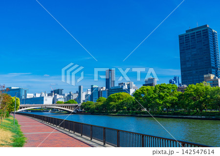 大阪市北区　堂島川の遊歩道と中之島公園　中央区のビル群 142547614
