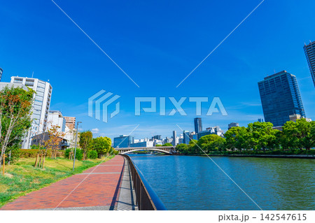 大阪市北区 堂島川の遊歩道と中之島公園 中央区のビル群 大阪市北区 堂島川の遊歩道と中之島公園 中央区のビル群 142547615