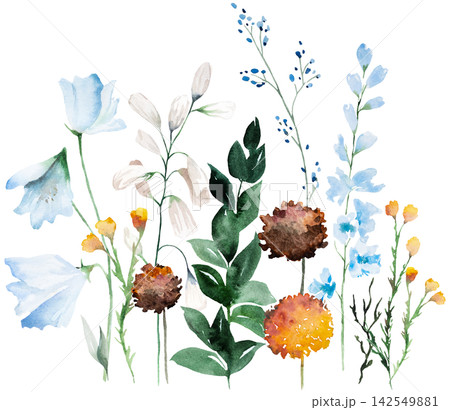 Watercolor border with blue, ivory and orange wildflowers, illustration for wedding stationery Watercolor border with blue, ivory and orange wildflowers, illustration for wedding stationery 142549881