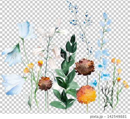 Watercolor border with blue, ivory and orange wildflowers, illustration for wedding stationery Watercolor border with blue, ivory and orange wildflowers, illustration for wedding stationery 142549881