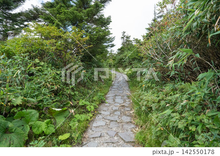 八幡平の登山道 八幡平の登山道 142550178