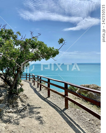 Coastal walking trail with wooden railing overlooks calm turquoise summer sea. Coastal walking trail with wooden railing overlooks calm turquoise summer sea. 142550535