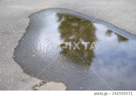 雨上がりの地面 アスファルト 秋雨 9月 イメージ 雨上がりの地面 アスファルト 秋雨 9月 イメージ 142550571