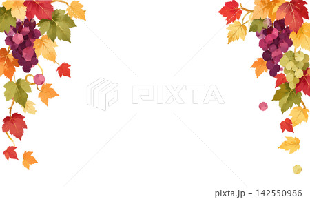 秋の葡萄と紅葉を描いた水彩風ワインフレーム背景イラスト 142550986
