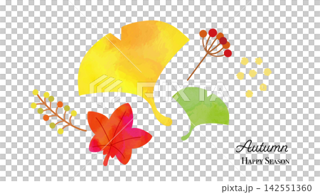 Watercolor-style autumn background material featuring ginkgo leaves and maple leaves. Watercolor-style autumn background material featuring ginkgo leaves and maple leaves. 142551360
