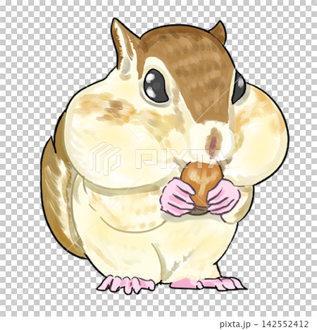 Chipmunk Chipmunk 142552412