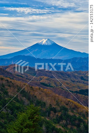 秋の大菩薩嶺から望む富士山 142553175