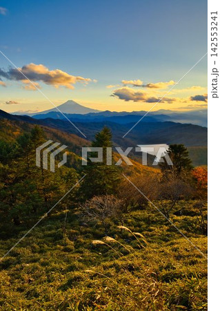 秋の大菩薩嶺から望む富士山 142553241