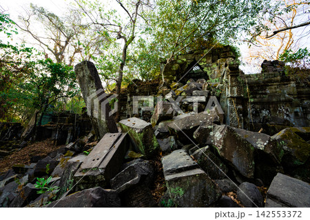 カンボジア ベンメリア 廃墟遺跡 カンボジア ベンメリア 廃墟遺跡 142553372