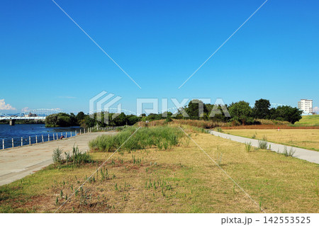 淀川河川敷（大阪） 142553525