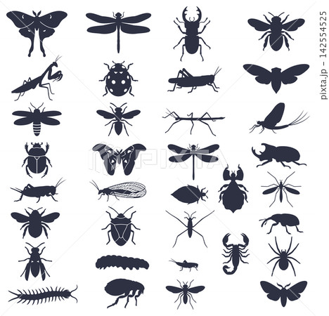 Flat vector set of various insect silhouettes showing beetles moths and many small flying garden creatures 142554525