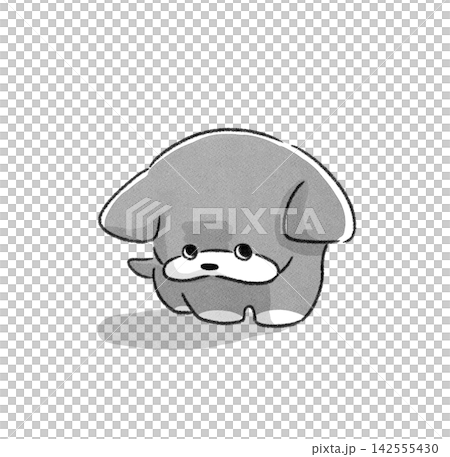 Upper looking dog Upper looking dog 142555430