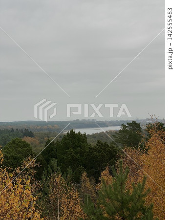 Autumn forest landscape with river view, soft foggy sky and calm natural scenery 142555483
