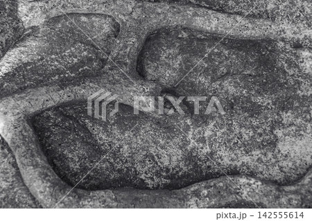Black and white photo of Thalassinoides fossils. Black and white photo of Thalassinoides fossils. 142555614