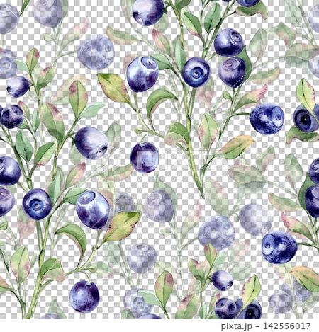 Watercolor bilberry seamless pattern with branches and green neutral tones isolated. Hand drawn wild northern berry illustration. Botanical repeat for wallpaper, fabric, packaging and kitchen design. Watercolor bilberry seamless pattern with branches and green neutral tones isolated. Hand drawn wild northern berry illustration. Botanical repeat for wallpaper, fabric, packaging and kitchen design. 142556017
